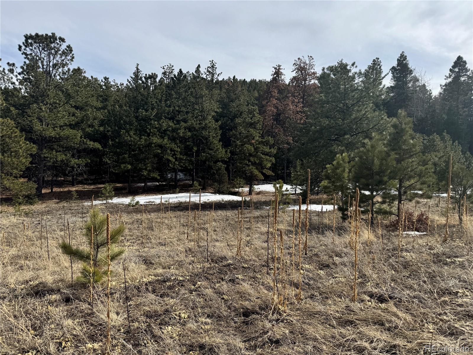 Rainbow Ridge Canon City, CO 81212 - Photo 1 of 21