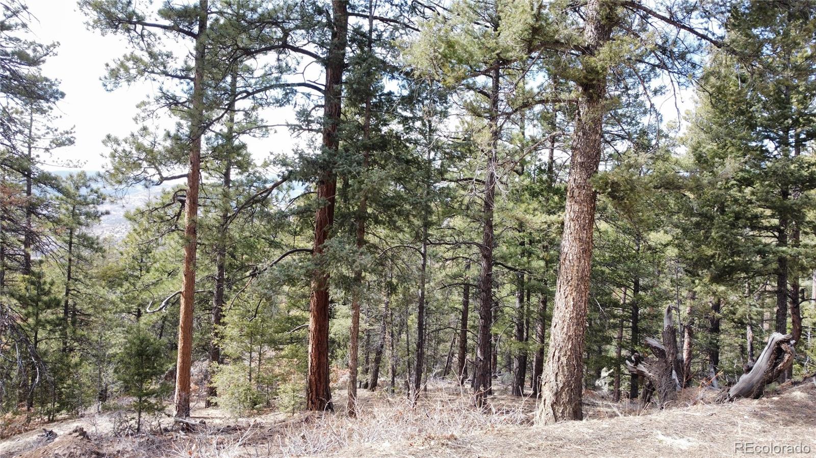 Rainbow Ridge Canon City, CO 81212 - Photo 11 of 21