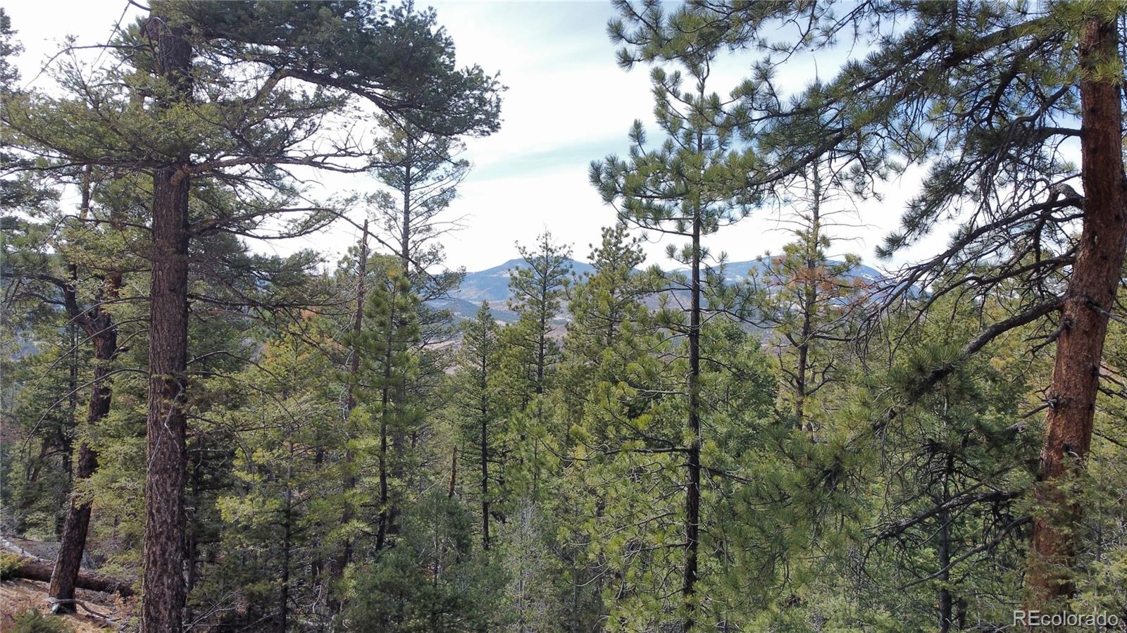 Rainbow Ridge Canon City, CO 81212 - Photo 12 of 21
