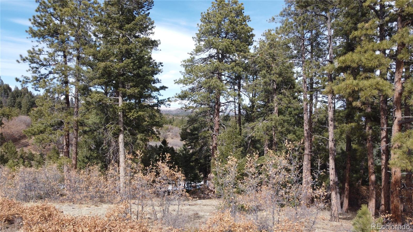 Rainbow Ridge Canon City, CO 81212 - Photo 13 of 21