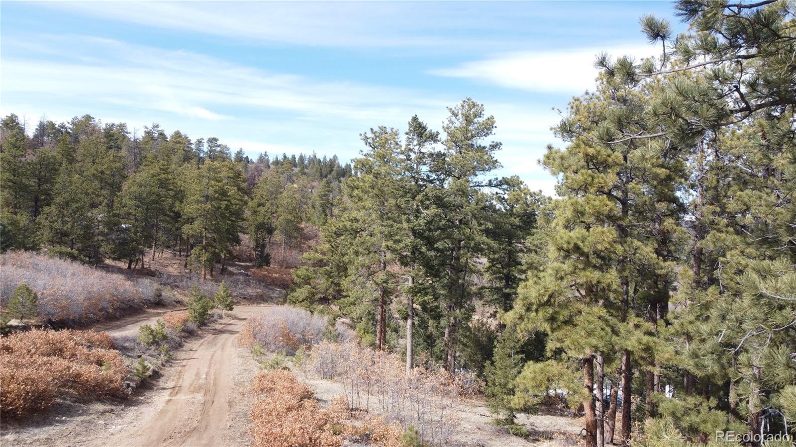Rainbow Ridge Canon City, CO 81212 - Photo 14 of 21