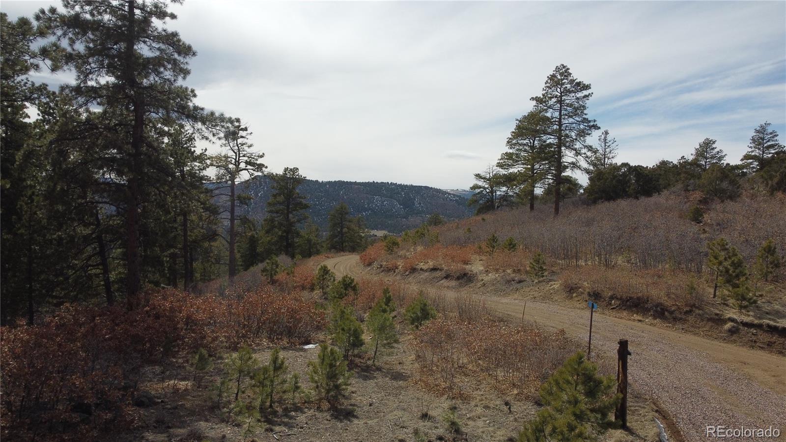 Rainbow Ridge Canon City, CO 81212 - Photo 16 of 21
