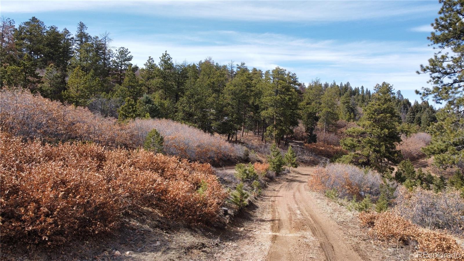 Rainbow Ridge Canon City, CO 81212 - Photo 17 of 21