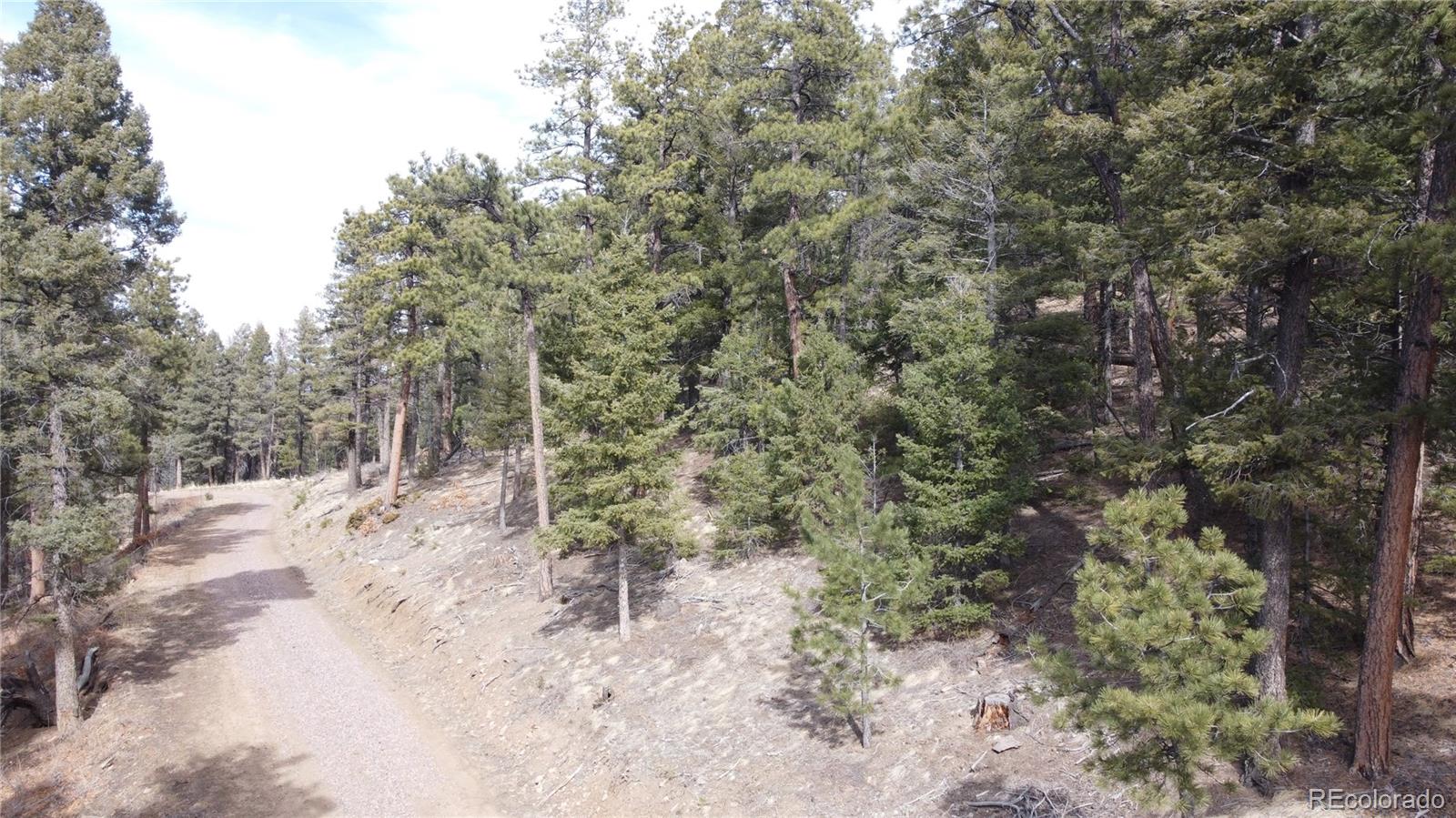 Rainbow Ridge Canon City, CO 81212 - Photo 18 of 21