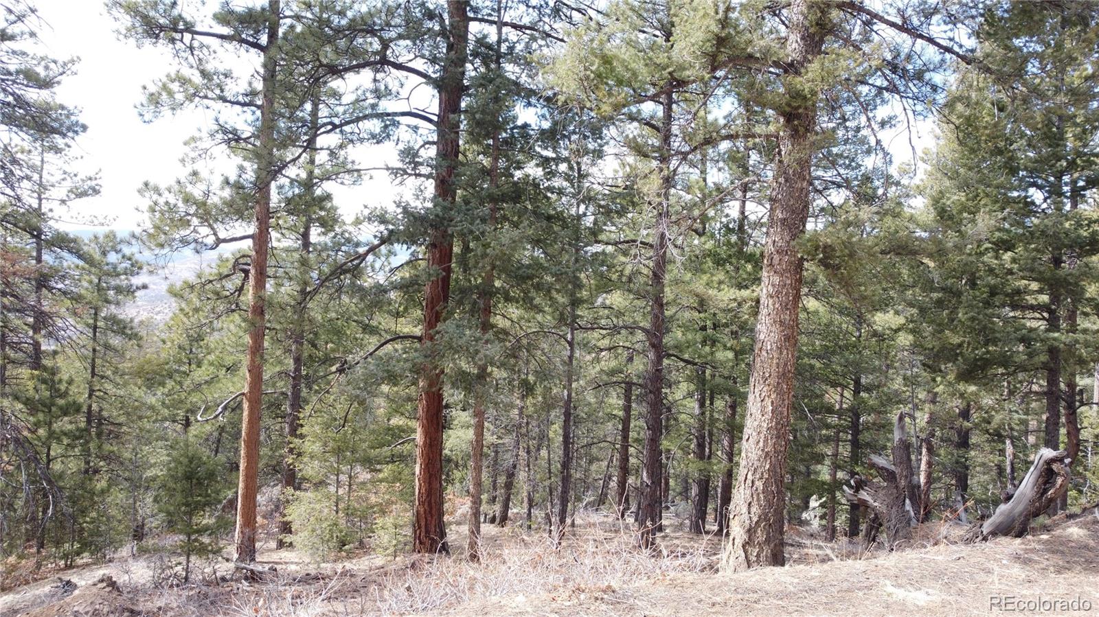 Rainbow Ridge Canon City, CO 81212 - Photo 19 of 21