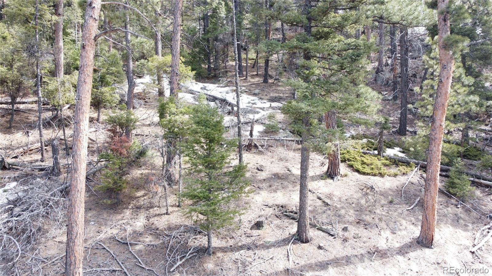 Rainbow Ridge Canon City, CO 81212 - Photo 20 of 21