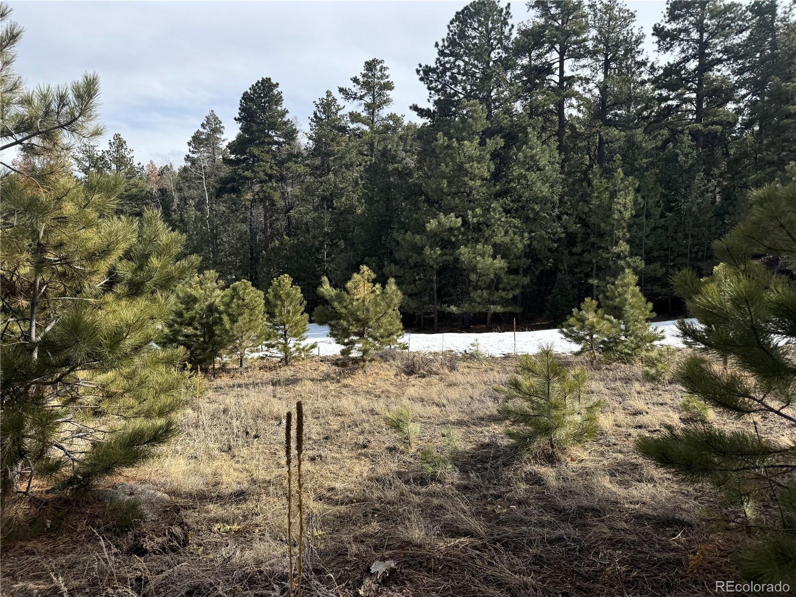 Rainbow Ridge Canon City, CO 81212 - Photo 2 of 21