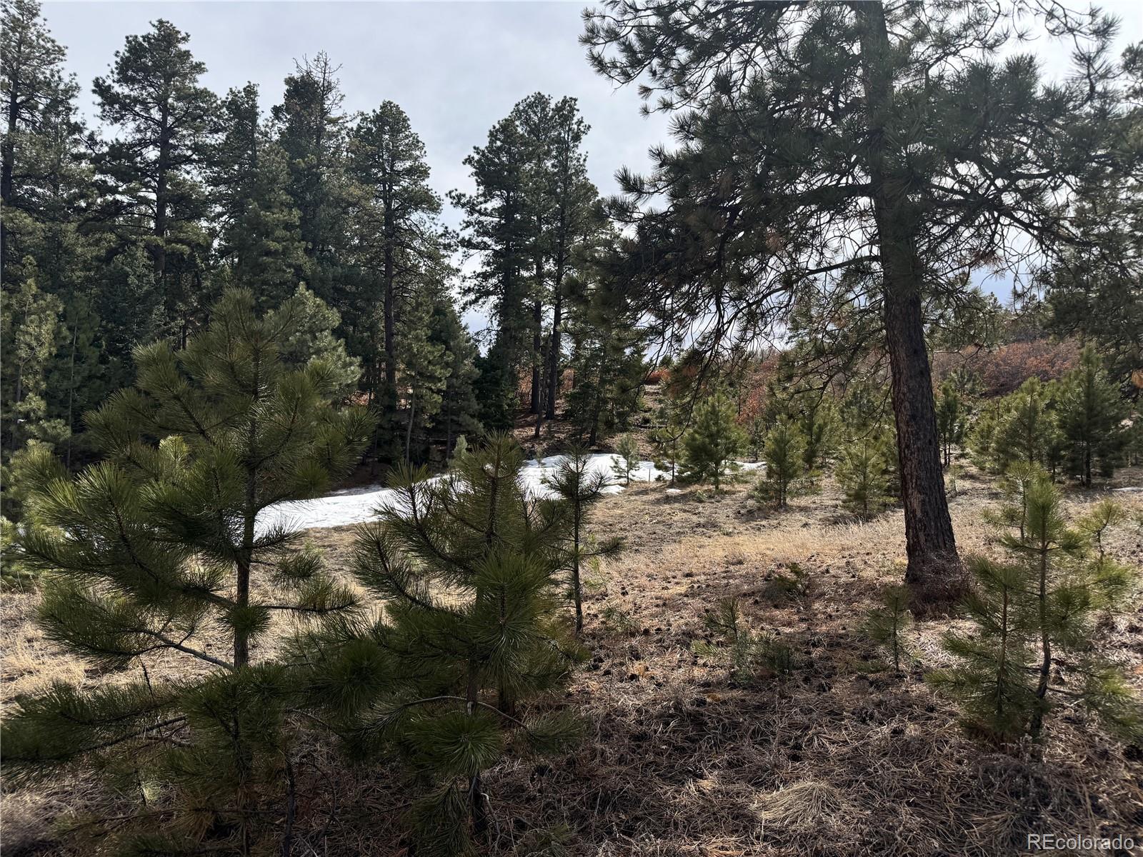 Rainbow Ridge Canon City, CO 81212 - Photo 3 of 21
