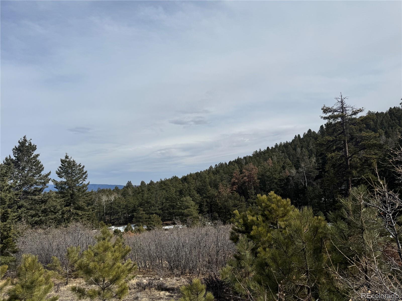 Rainbow Ridge Canon City, CO 81212 - Photo 4 of 21