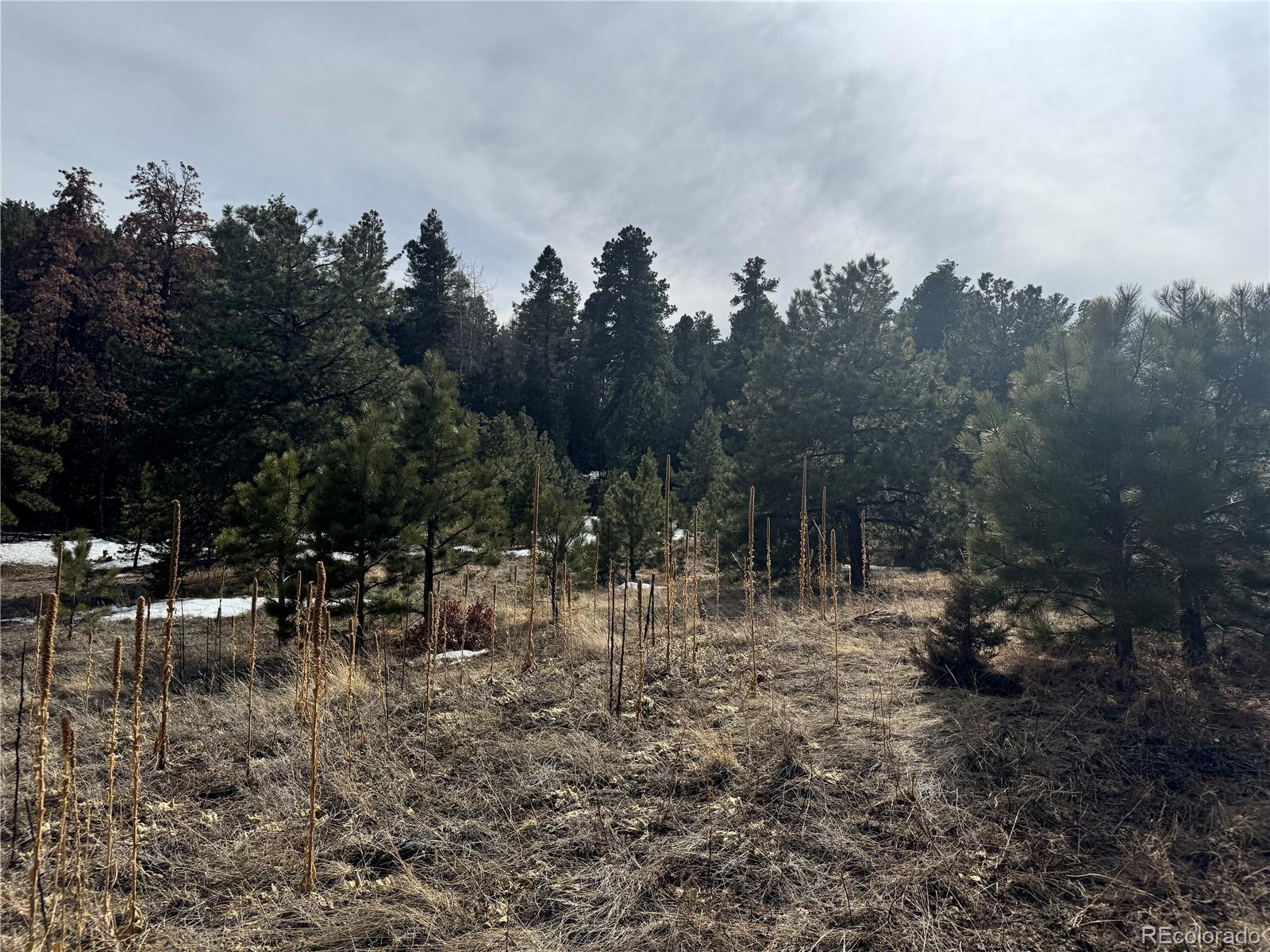 Rainbow Ridge Canon City, CO 81212 - Photo 6 of 21