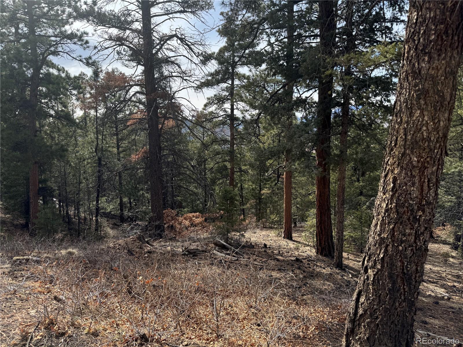 Rainbow Ridge Canon City, CO 81212 - Photo 7 of 21