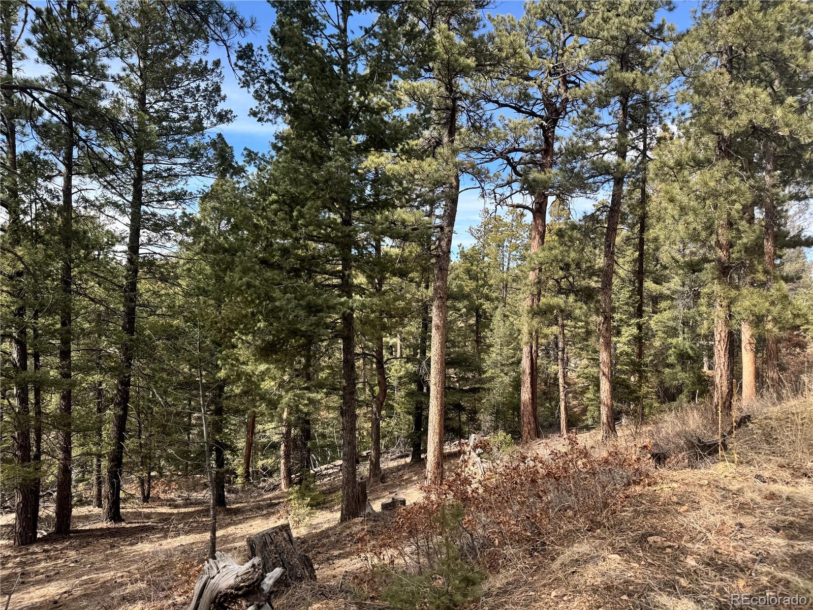Rainbow Ridge Canon City, CO 81212 - Photo 8 of 21
