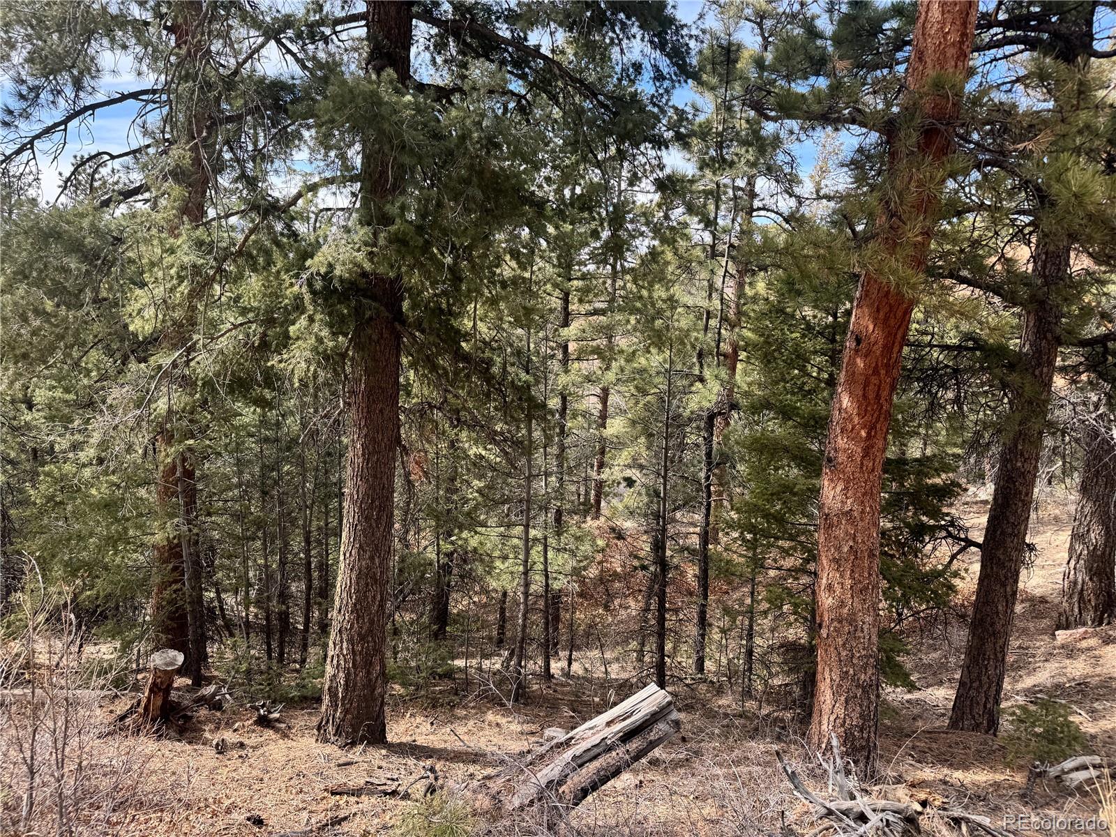 Rainbow Ridge Canon City, CO 81212 - Photo 9 of 21