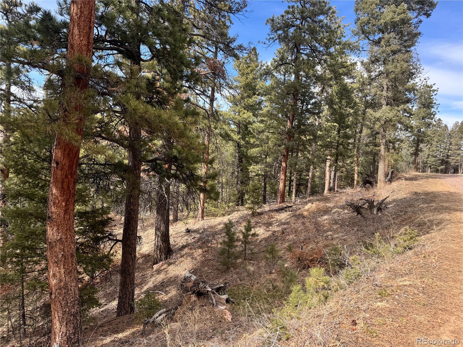 Rainbow Ridge Canon City, CO 81212 - Photo 10 of 21