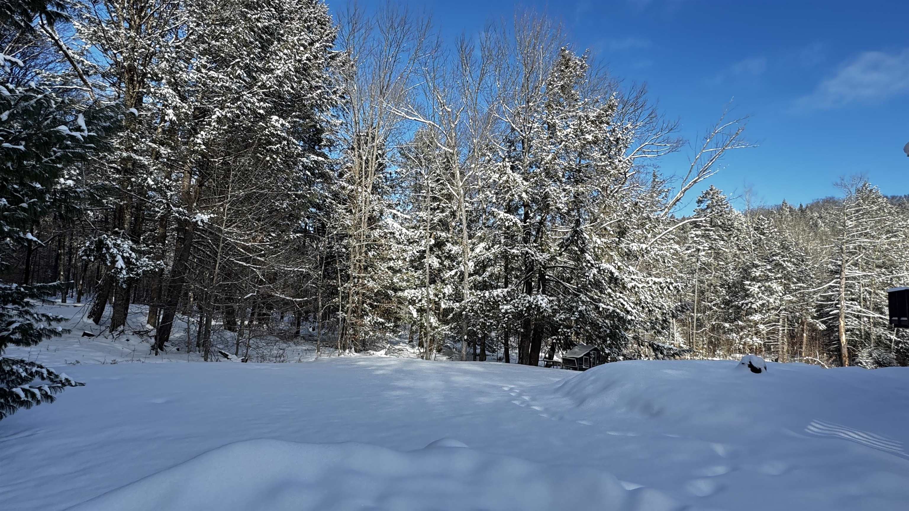 1057 Quarry Road Chester, VT 05143 - Photo 46 of 60