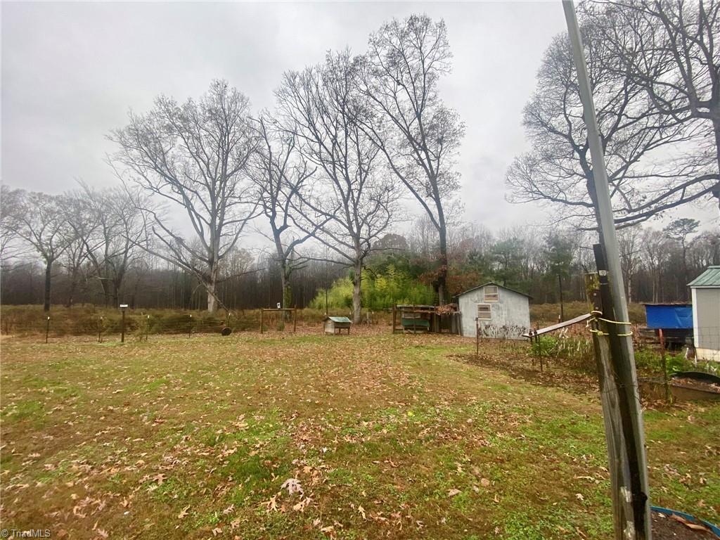 6113 White Plains Road Roaring River, NC 28669 - Photo 9 of 38