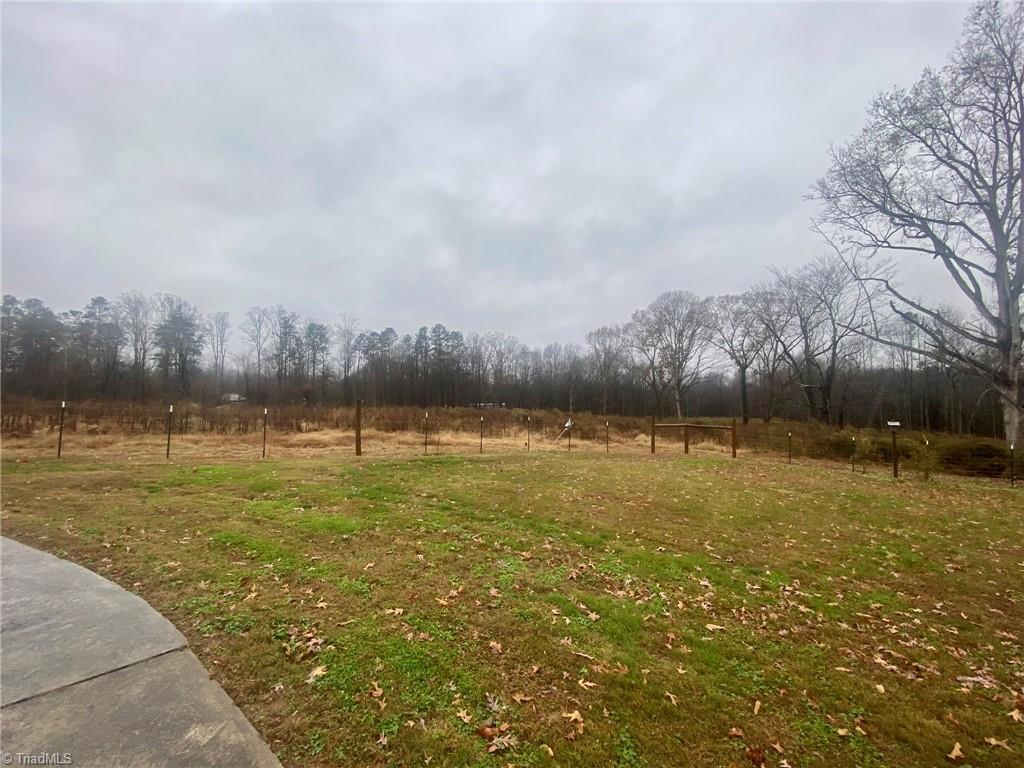 6113 White Plains Road Roaring River, NC 28669 - Photo 10 of 38