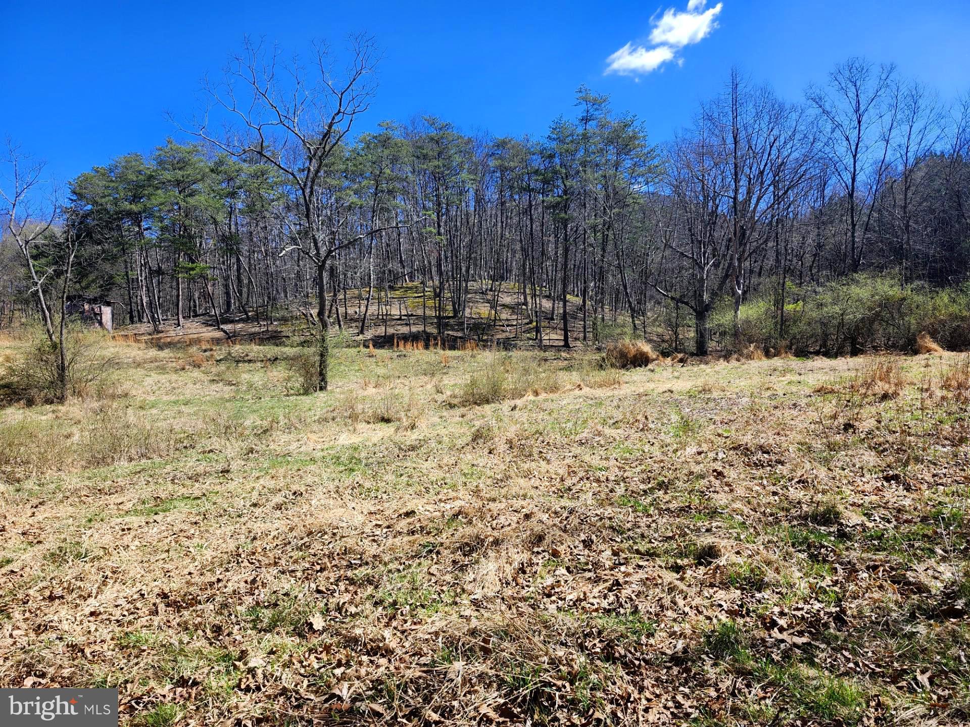 A J Kelley Road Old Fields, WV 26845 - Photo 16 of 65