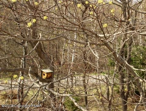 138 Lower Notch Road Albrightsville, PA 18210 - Photo 30 of 38 IMG_0873