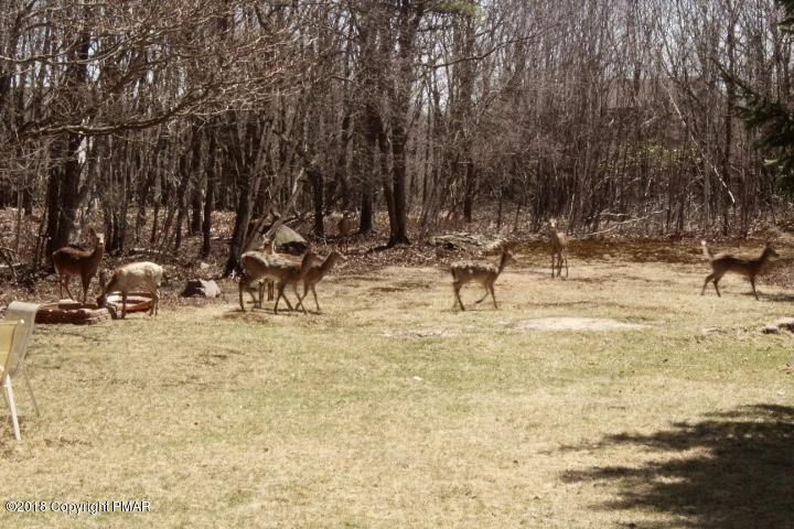 138 Lower Notch Road Albrightsville, PA 18210 - Photo 35 of 38 IMG_0800