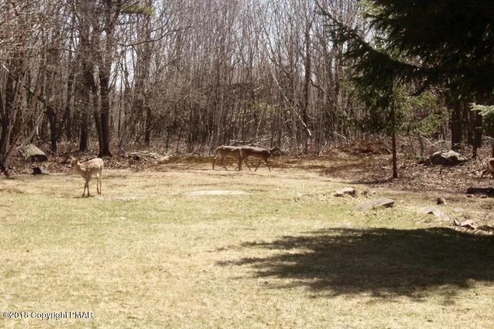 138 Lower Notch Road Albrightsville, PA 18210 - Photo 36 of 38 IMG_0801