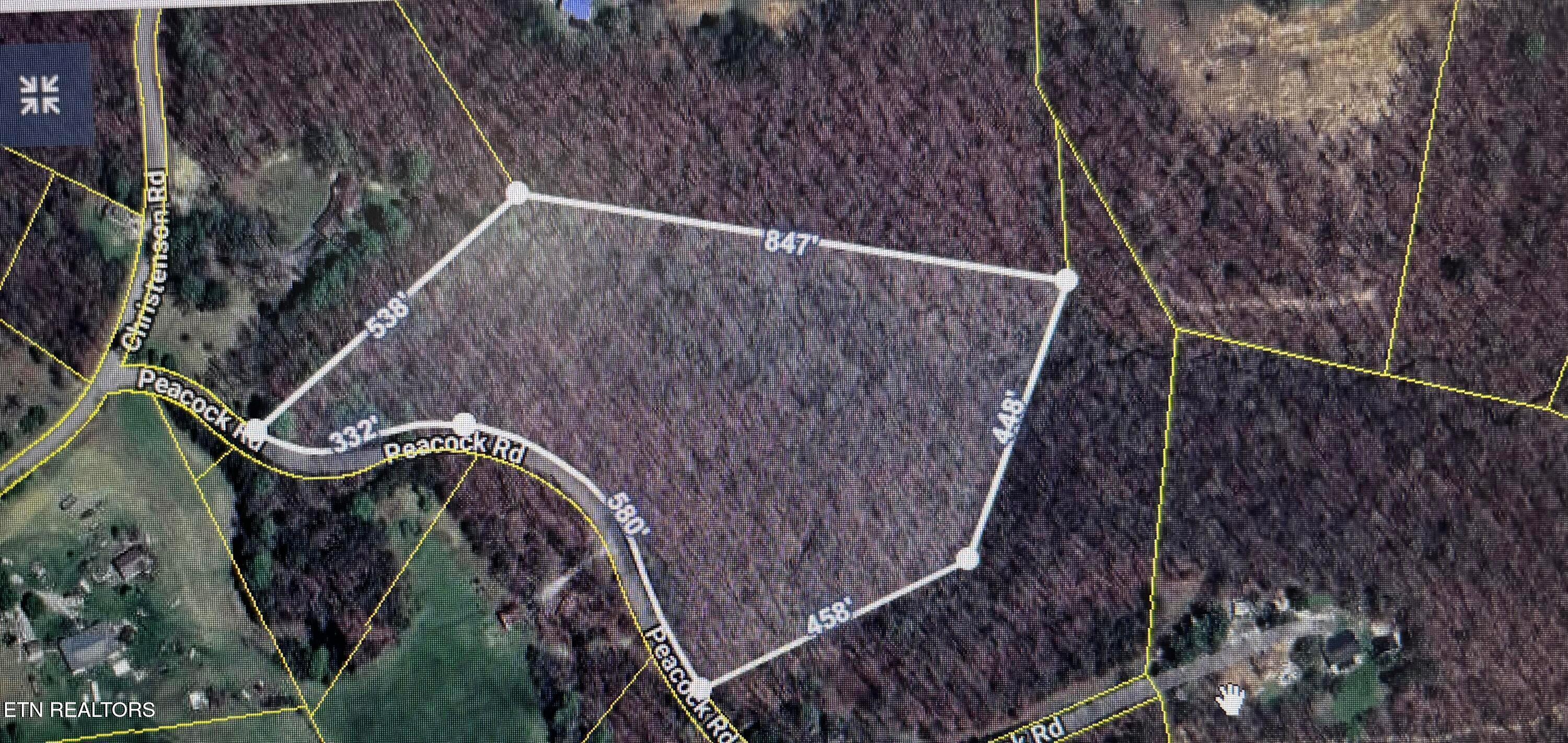 Peacock Road Deer Lodge, TN 37726 - Photo 1 of 1 20260119190022892979000000-o