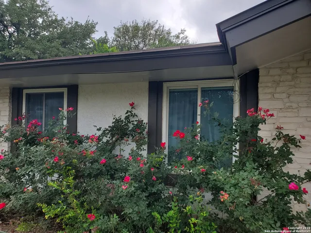 a view of a potted flower in front of a house