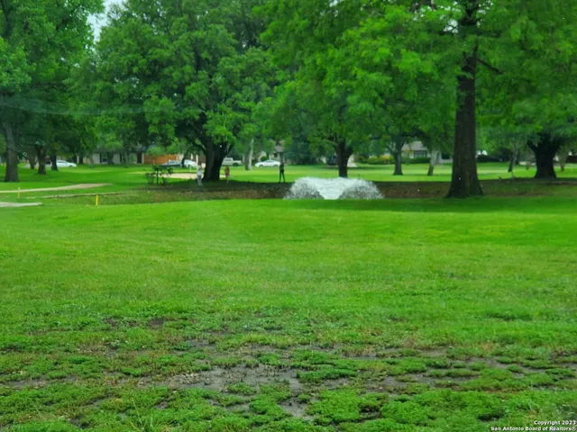 a view of grassy area with a yard