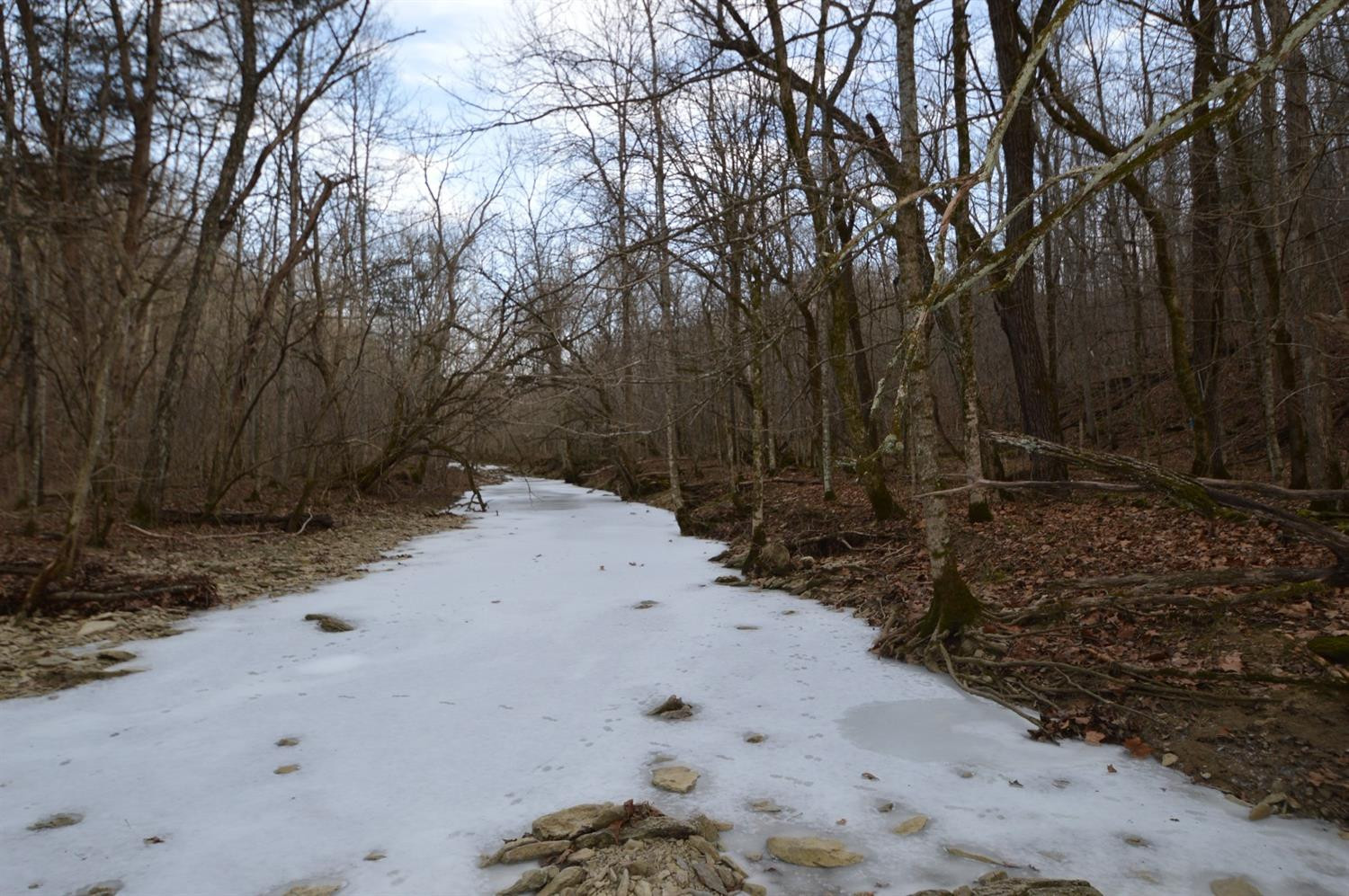 1290 Dennis Road, Unit 3 Lawrenceburg, KY 40342 - Photo 29 of 76 The creek was frozen over when I visited
