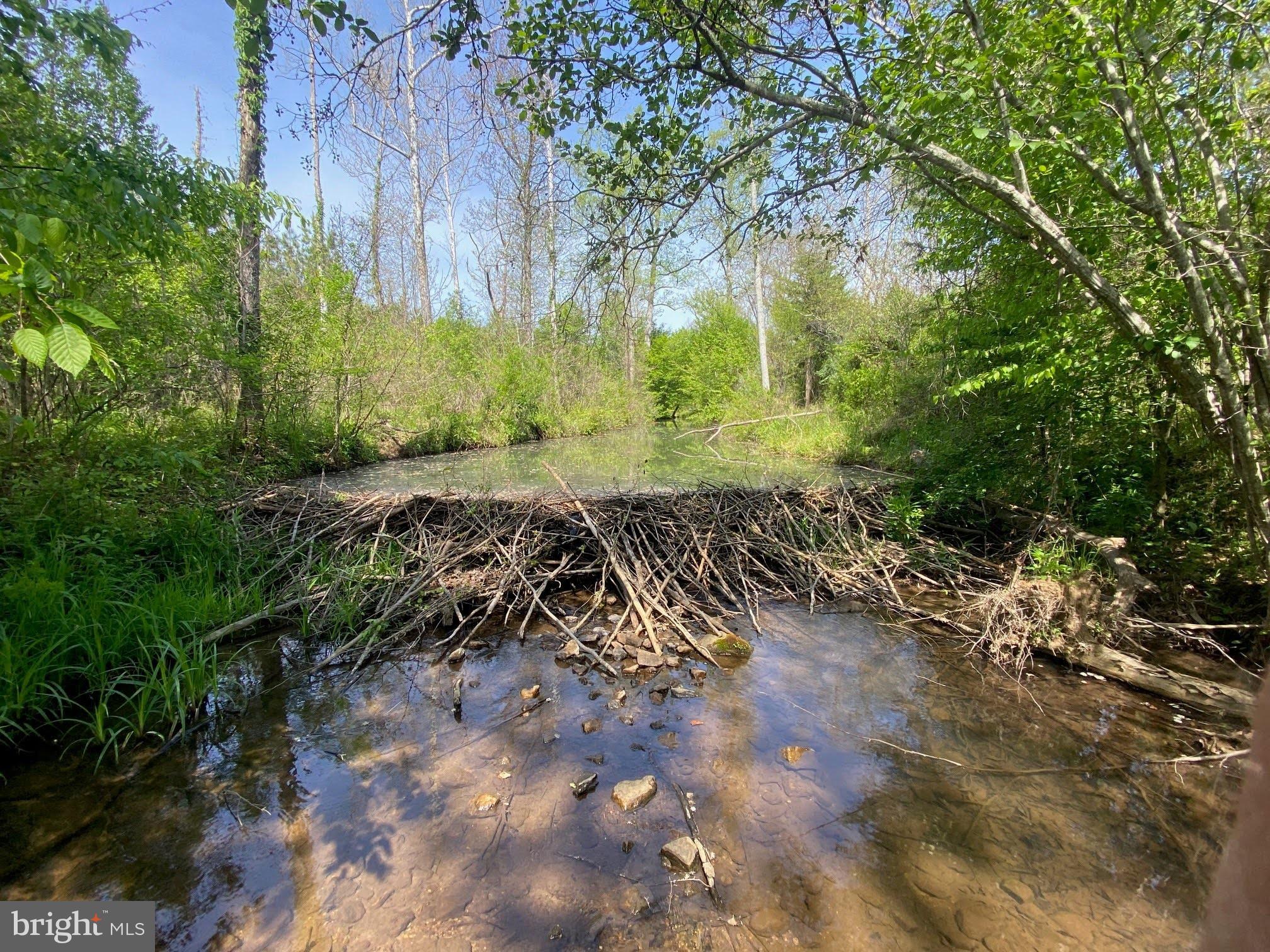 Tbd Tbd Grassland, Unit 8A Sandy Level, VA 24161 - Photo 1 of 34
