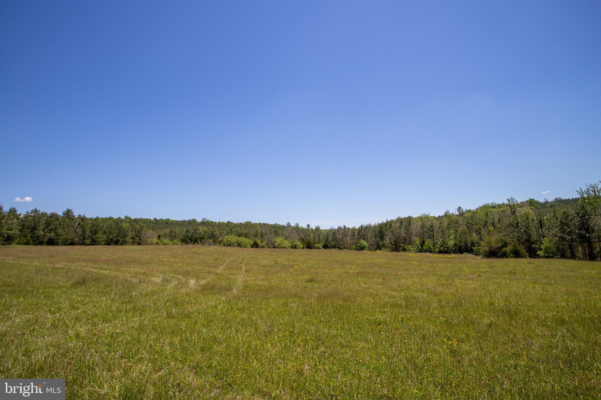 Tbd Tbd Grassland, Unit 8A Sandy Level, VA 24161 - Photo 24 of 34