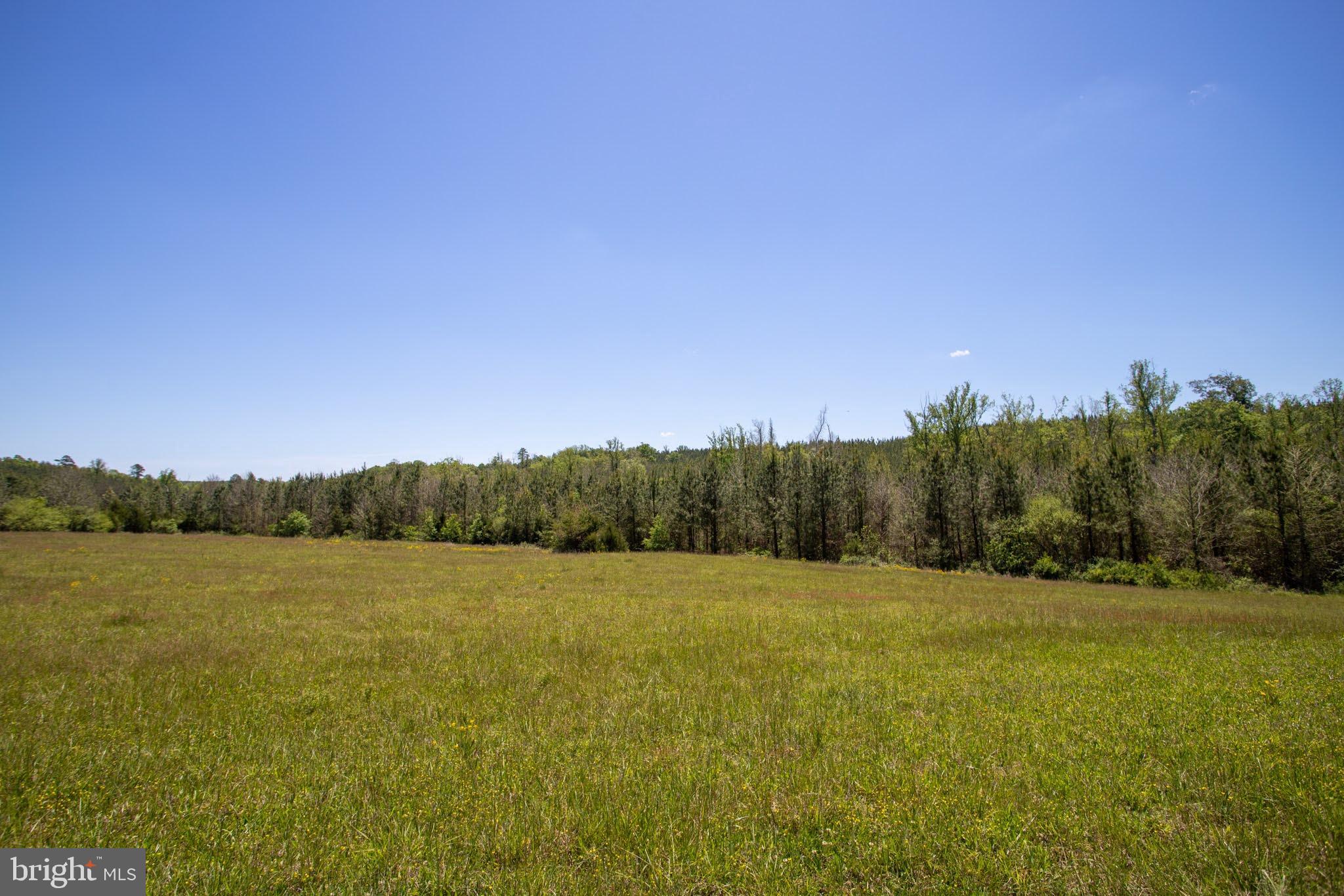 Tbd Tbd Grassland, Unit 8A Sandy Level, VA 24161 - Photo 25 of 34