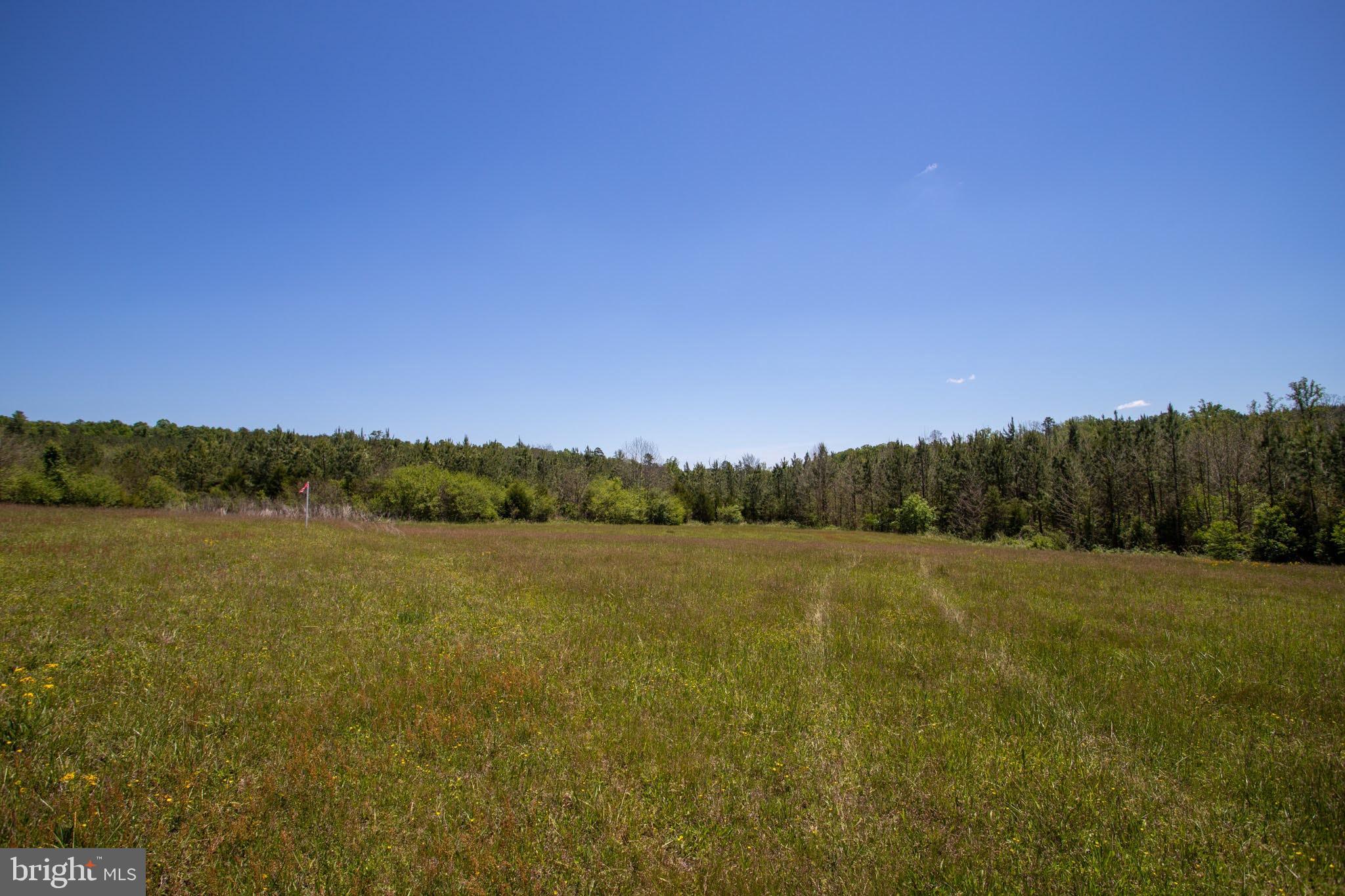 Tbd Tbd Grassland, Unit 8A Sandy Level, VA 24161 - Photo 26 of 34