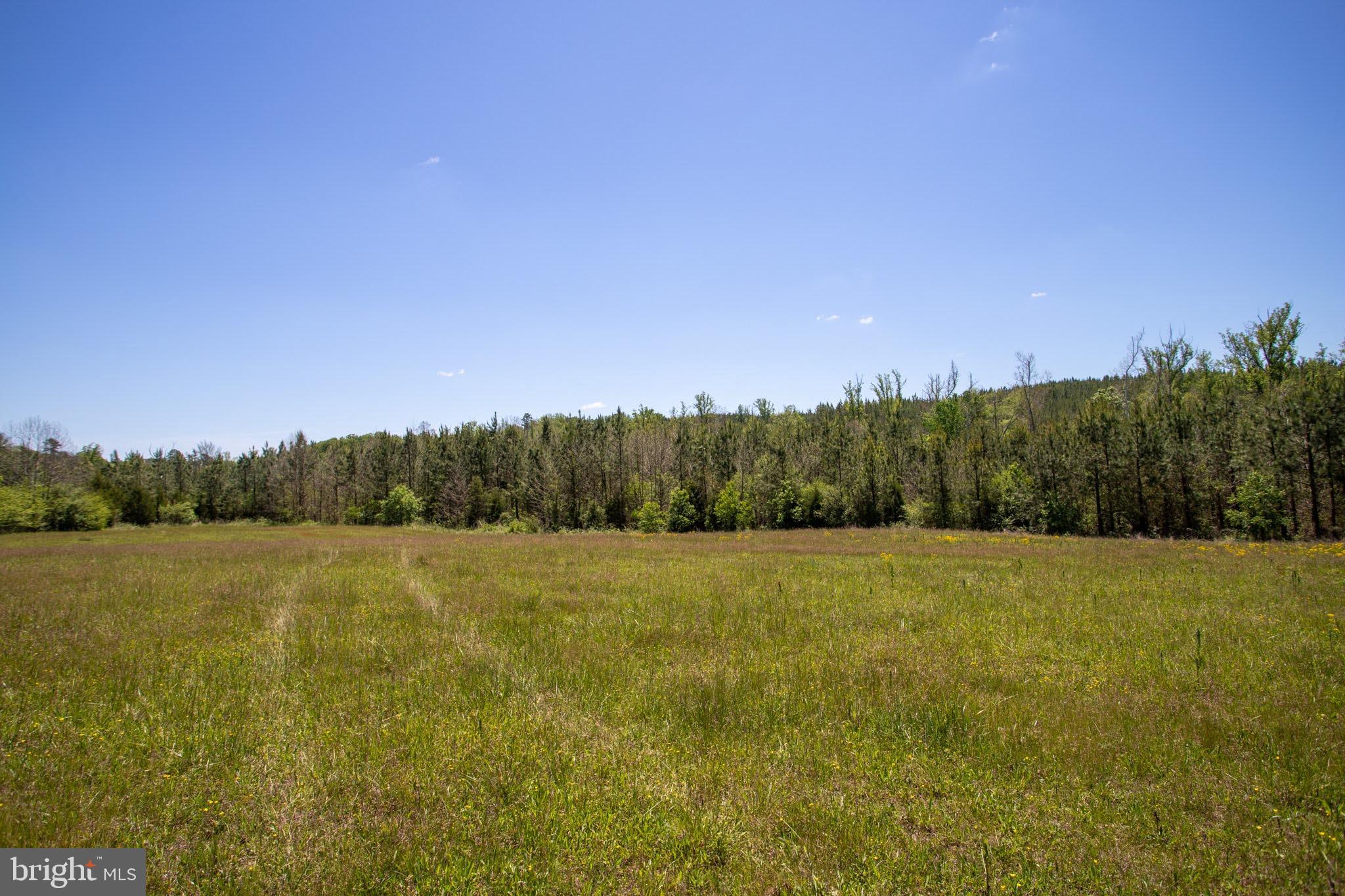 Tbd Tbd Grassland, Unit 8A Sandy Level, VA 24161 - Photo 27 of 34