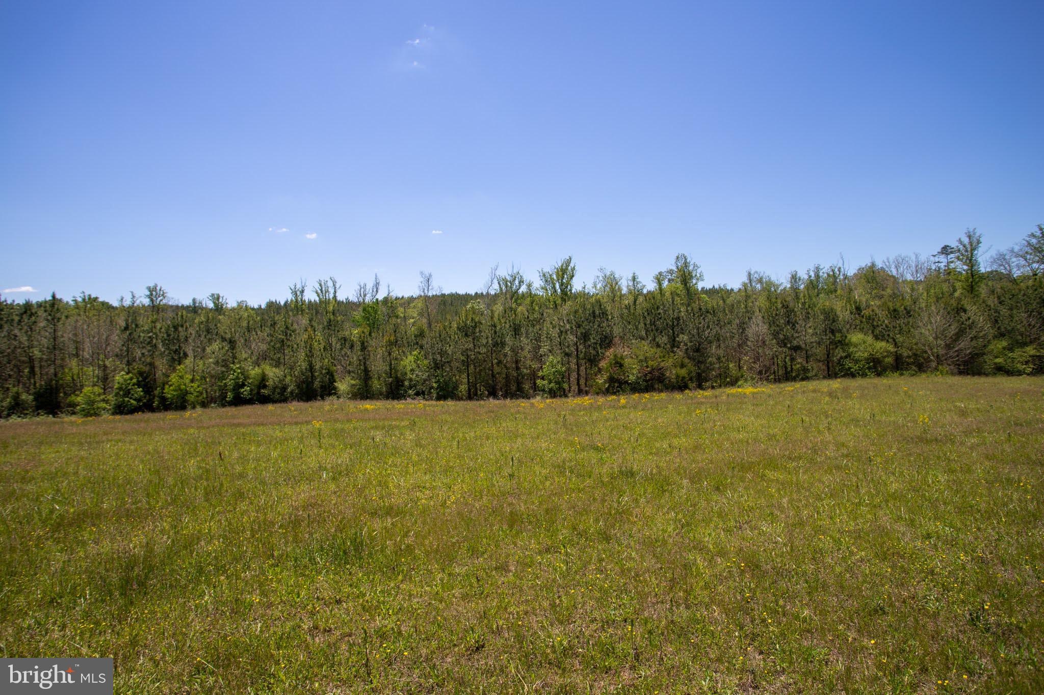 Tbd Tbd Grassland, Unit 8A Sandy Level, VA 24161 - Photo 28 of 34