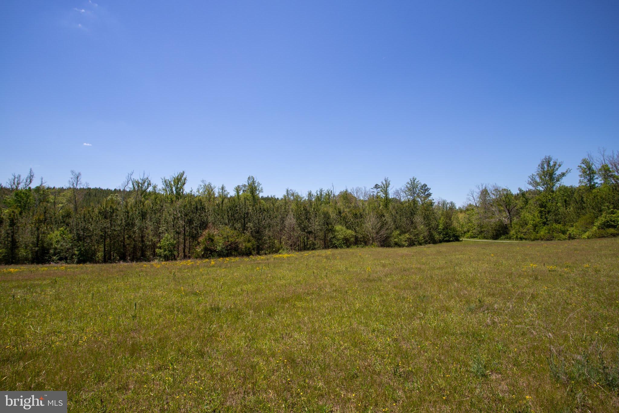Tbd Tbd Grassland, Unit 8A Sandy Level, VA 24161 - Photo 29 of 34