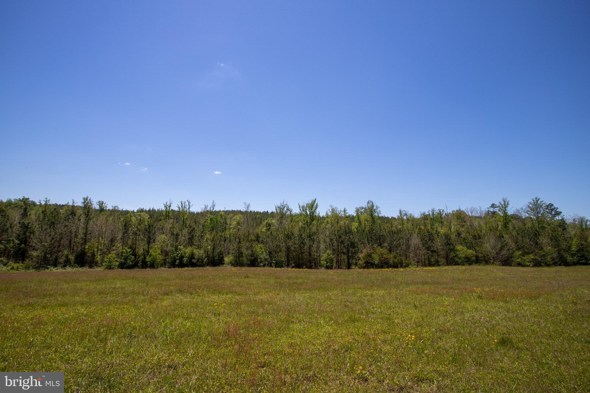 Tbd Tbd Grassland, Unit 8A Sandy Level, VA 24161 - Photo 30 of 34
