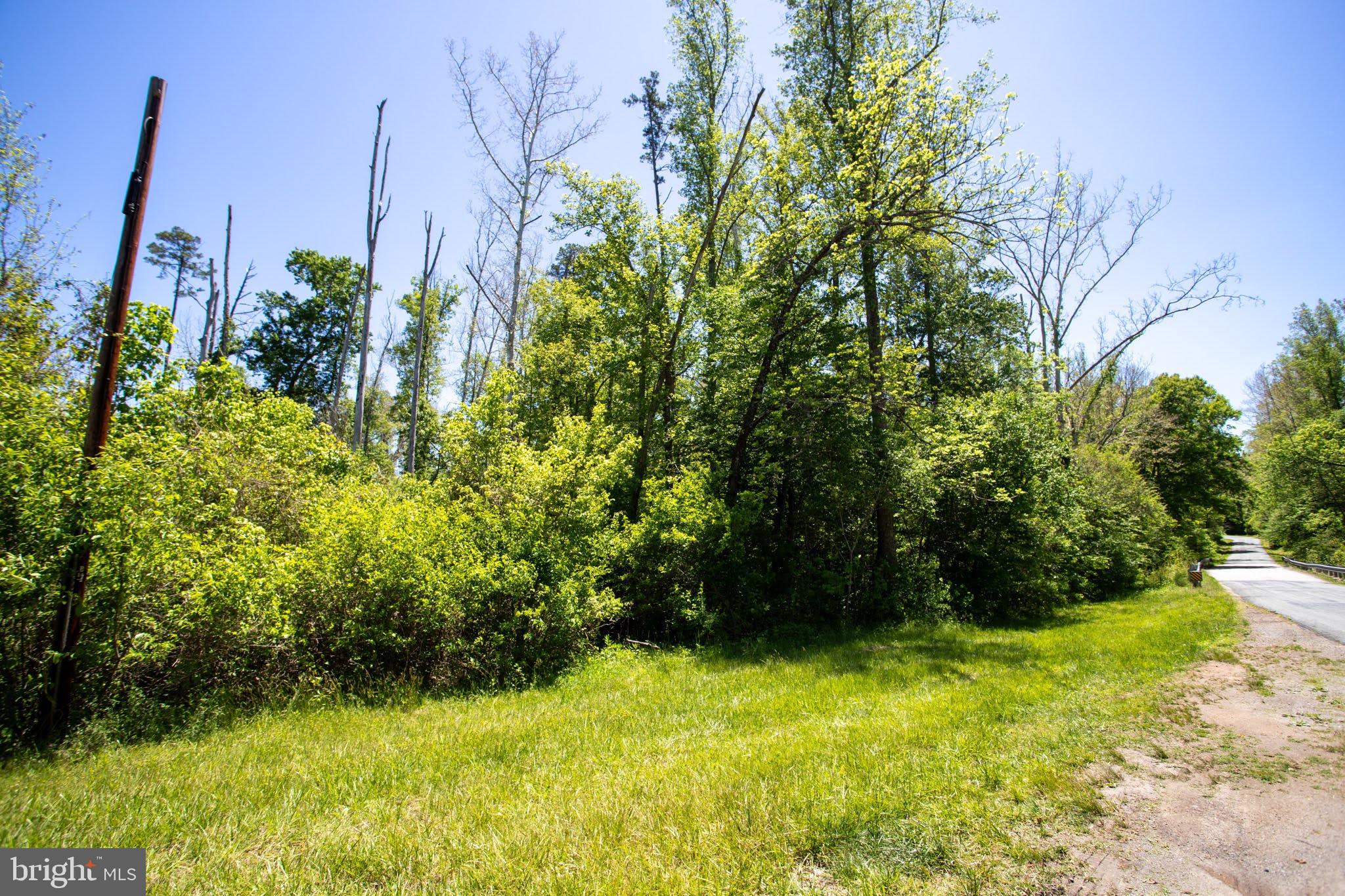 Tbd Tbd Grassland, Unit 8A Sandy Level, VA 24161 - Photo 31 of 34