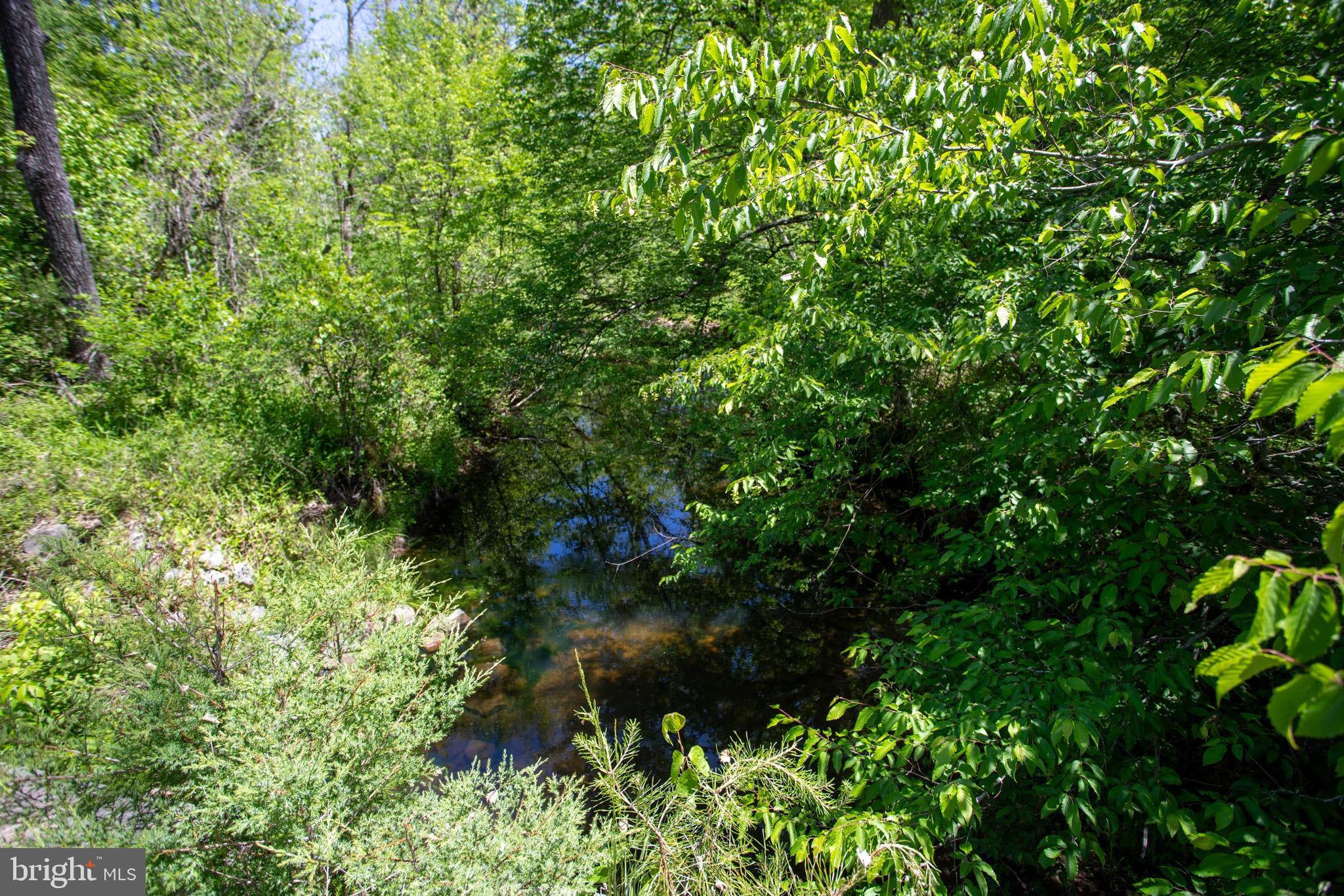 Tbd Tbd Grassland, Unit 8A Sandy Level, VA 24161 - Photo 34 of 34