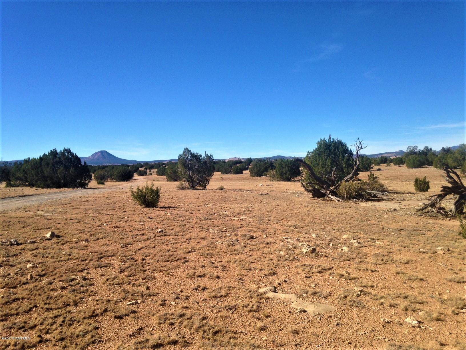 10 Off Of Tanner Road Ash Fork, AZ 86320 - Photo 1 of 11 IMG_4370
