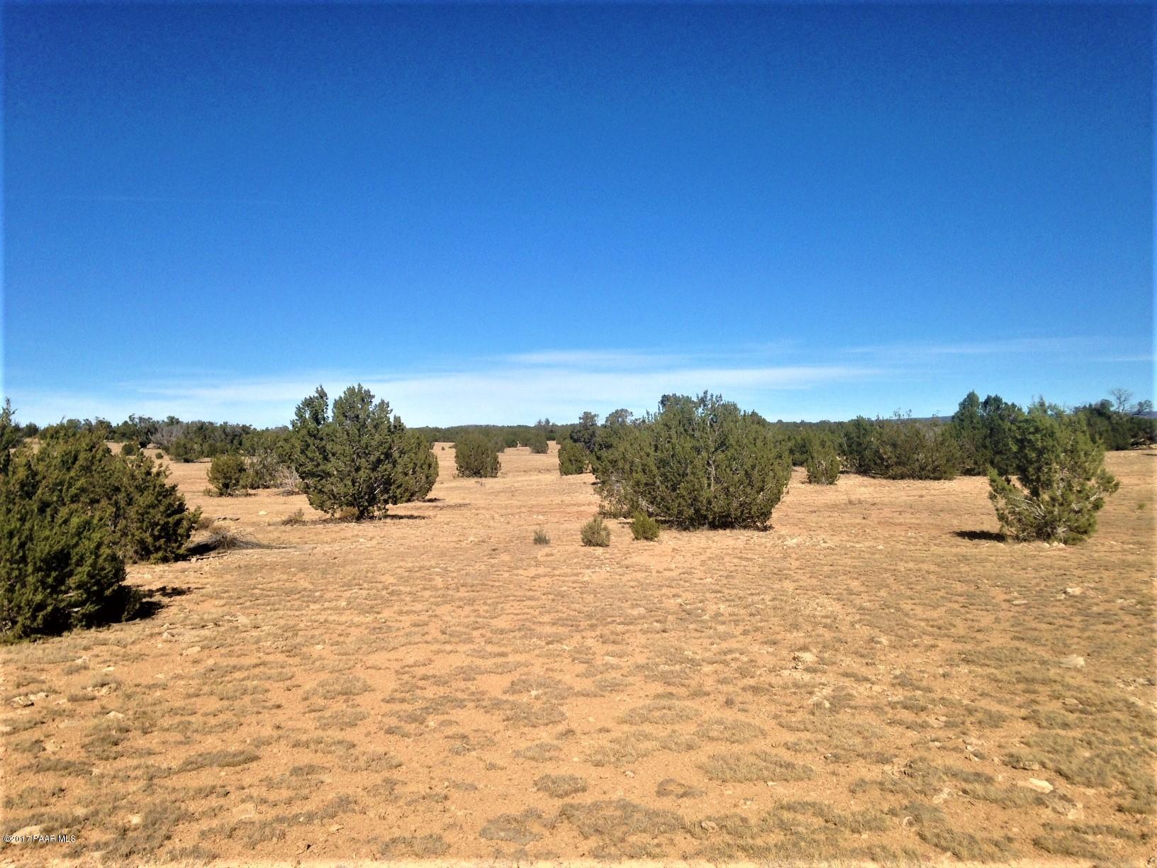 10 Off Of Tanner Road Ash Fork, AZ 86320 - Photo 11 of 11 IMG_4371