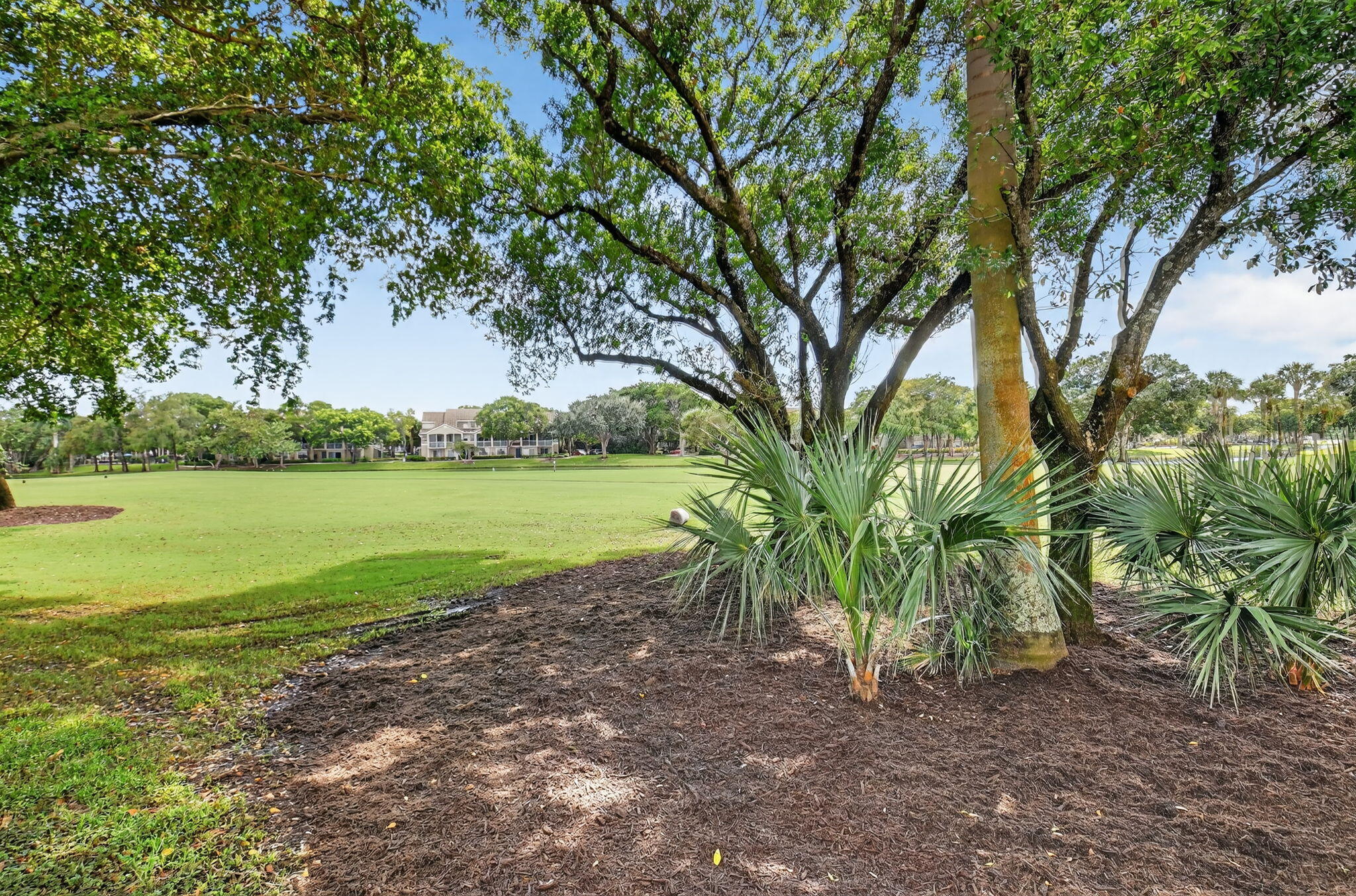 5850 Northwest 21st Avenue Boca Raton, FL 33496 - Photo 39 of 54 a view of a garden with a tree