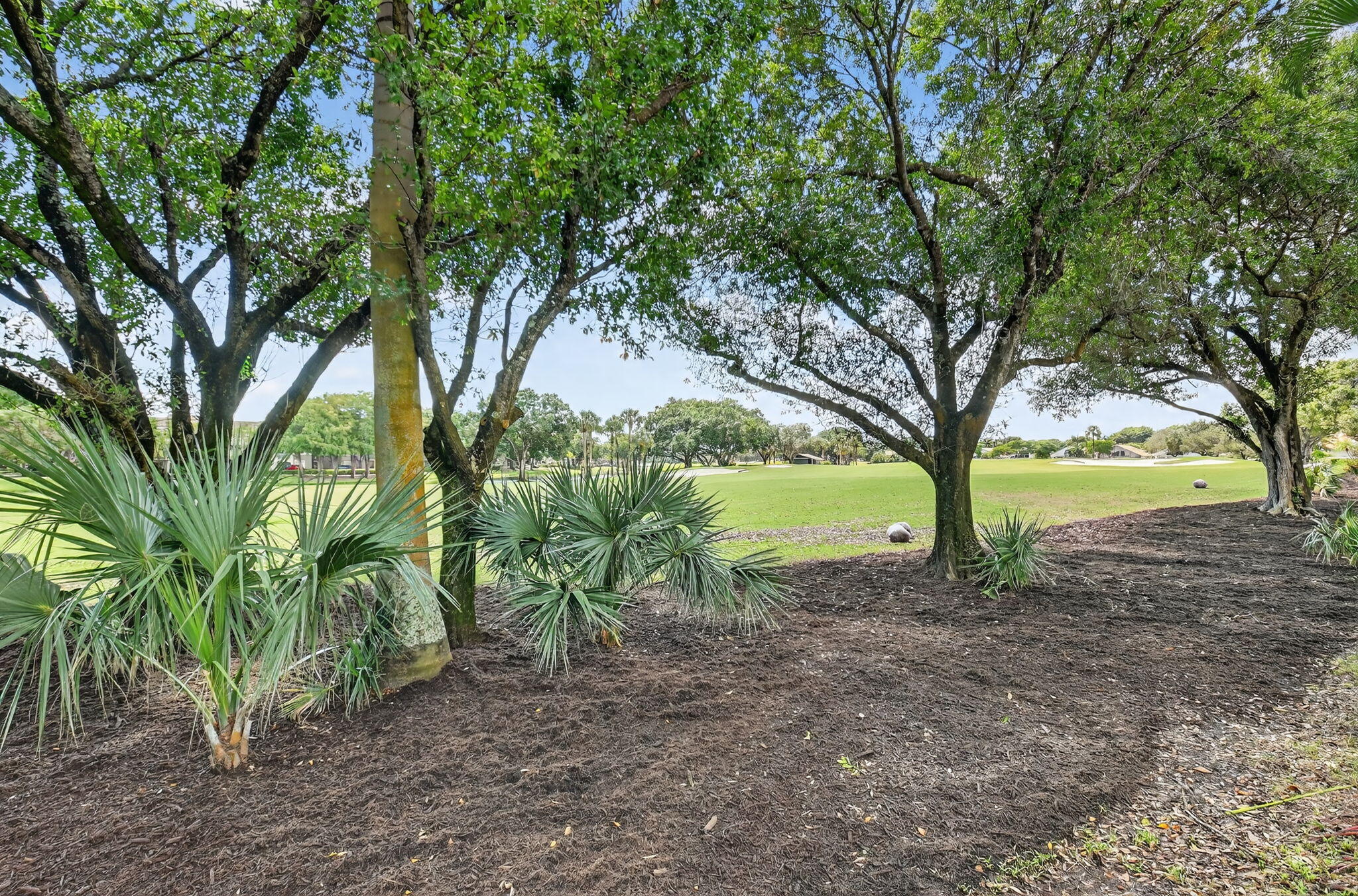 5850 Northwest 21st Avenue Boca Raton, FL 33496 - Photo 40 of 54 a view of backyard with large trees