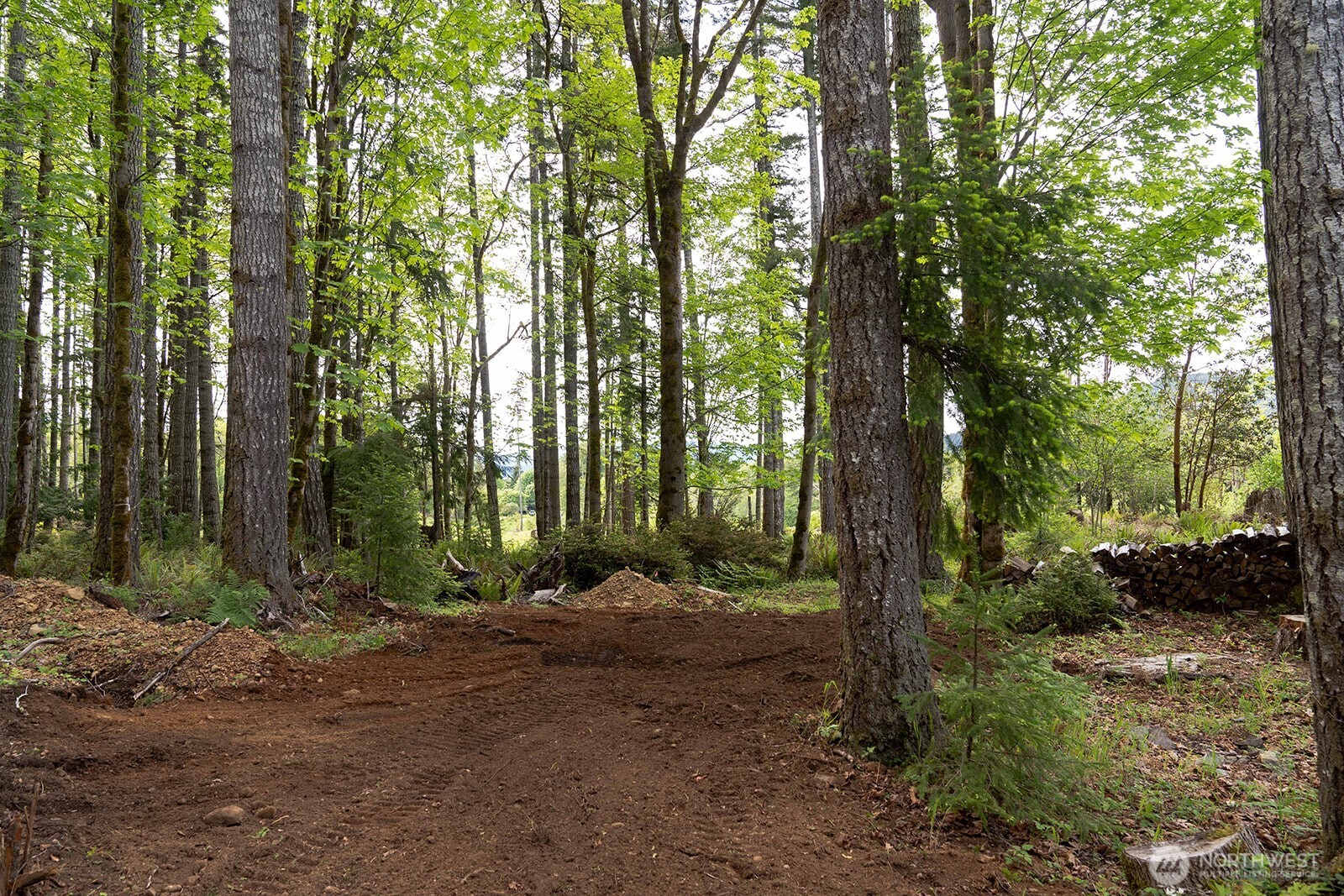 331 Rocky Brook Road Brinnon, WA 98320 - Photo 1 of 30 Gallery Image 1