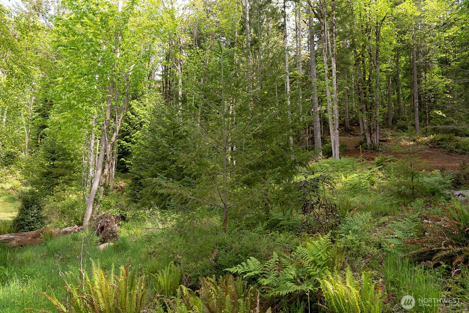 331 Rocky Brook Road Brinnon, WA 98320 - Photo 16 of 30 Gallery Image 16