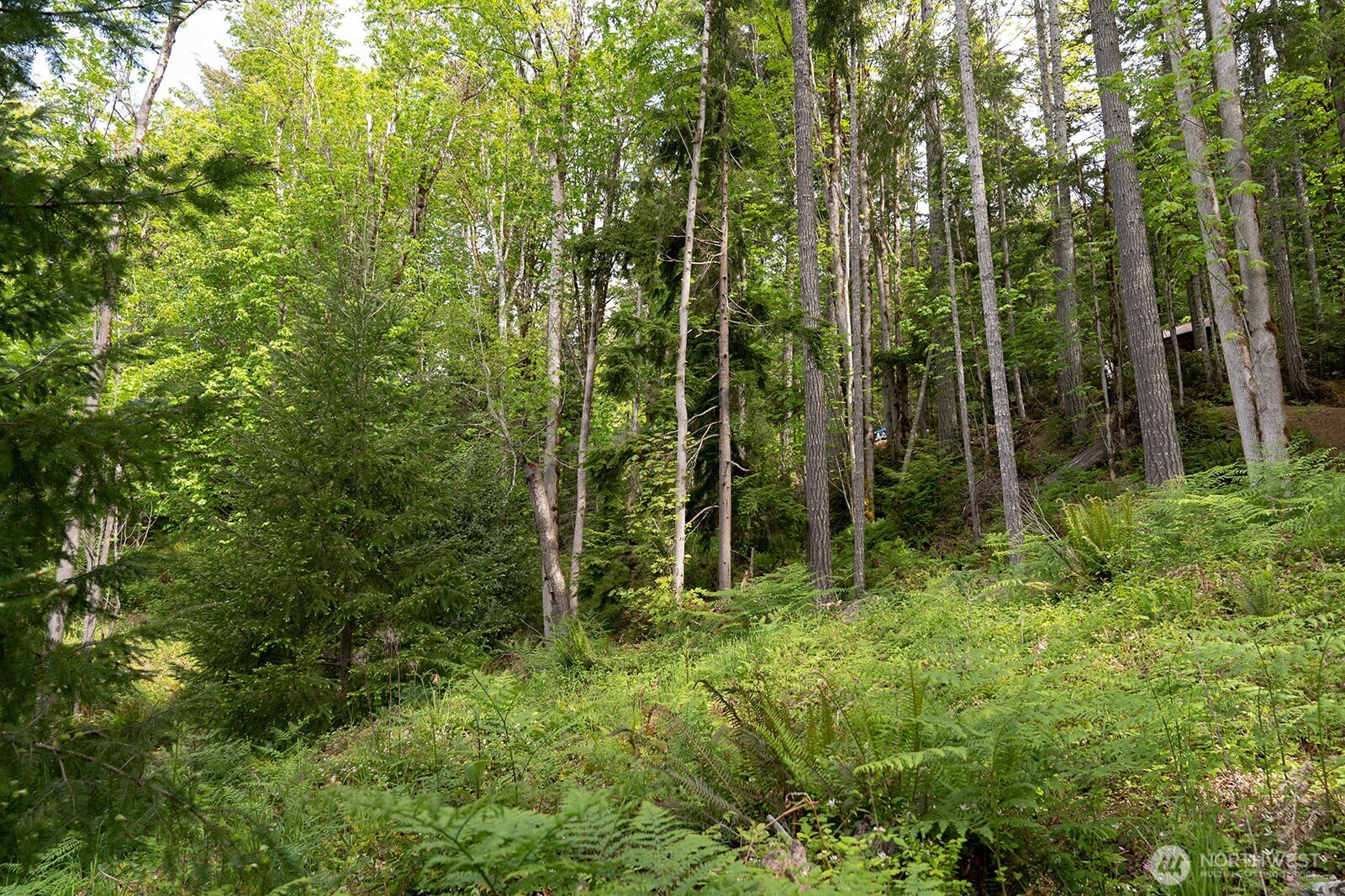 331 Rocky Brook Road Brinnon, WA 98320 - Photo 18 of 30 Gallery Image 18