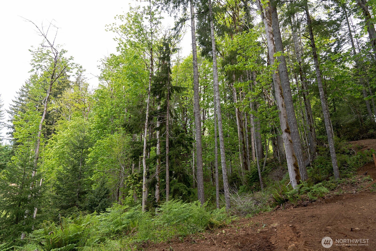 331 Rocky Brook Road Brinnon, WA 98320 - Photo 8 of 30 Gallery Image 8