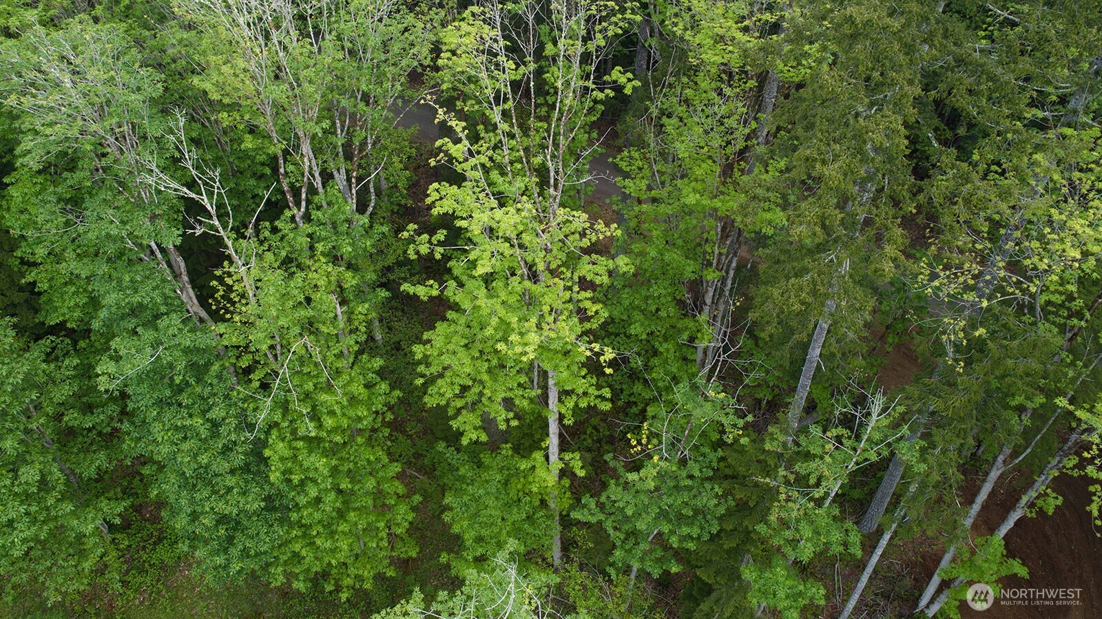 331 Rocky Brook Road Brinnon, WA 98320 - Photo 10 of 30 Gallery Image 10