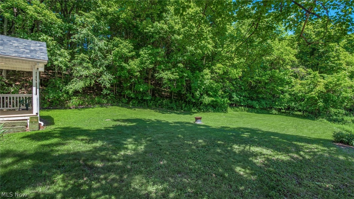 10755 Rural Dale Road Blue Rock, OH 43720 - Photo 27 of 27 View of yard