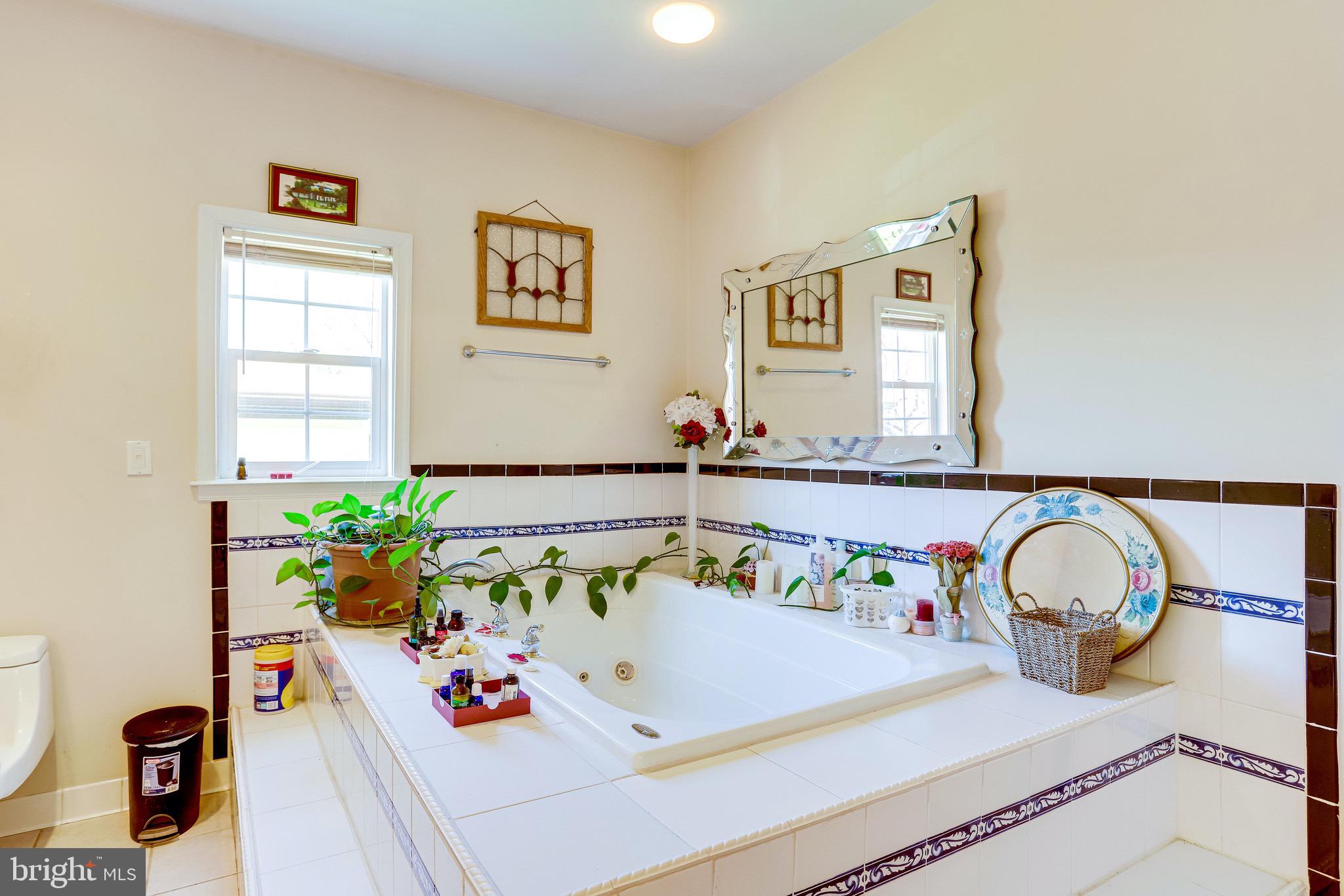 206 West Beech Road Sterling, VA 20164 - Photo 20 of 41 Soaking Tub